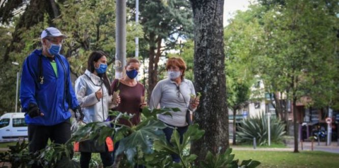 Con una ‘sembratón’ por la reconciliación y la vida, Teusaquillo rindió homenaje a Javier Ordóñez Con una ‘sembratón’ por la reconciliación y la vida, Teusaquillo rindió homenaje a Javier Ordóñez